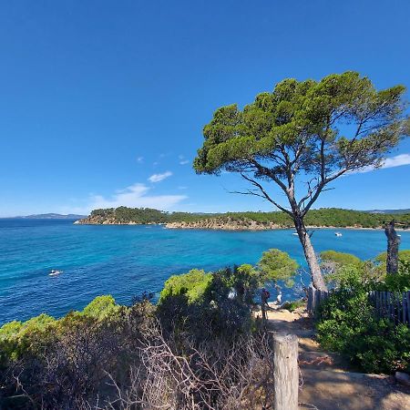 Coquet Studio Avec Belle Terrasse Apartment La Londe-les-Maures ภายนอก รูปภาพ